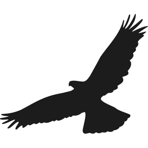 Naklejki na szyby - sylwetka ptaka drapieżnego. Naklejka na szybę (wzór 02).