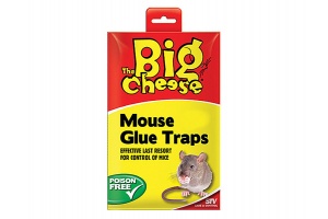 Pułapka klejowa na myszy. Sposób na myszy. Klej na myszy (1 sztuka).