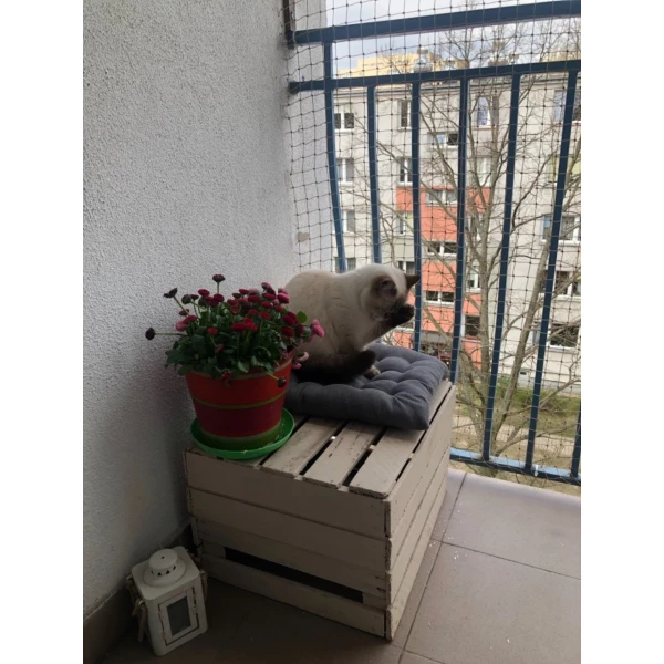 Siatka na balkon dla kota "Bezpieczne Koty". Zestaw montażowy bez wiercenia 8x3m.