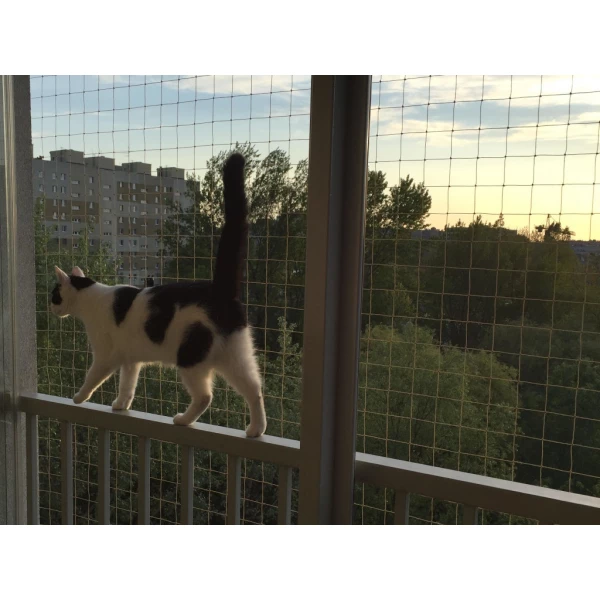 Siatka na balkon dla kota "Bezpieczne Koty". Zestaw montażowy bez wiercenia 4x3m.