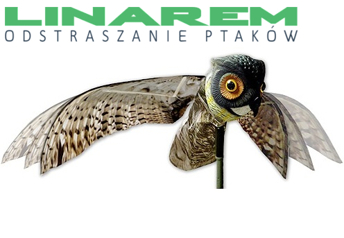 Odstraszacz na wróble - sowa w locie. Odstraszanie wróbli.